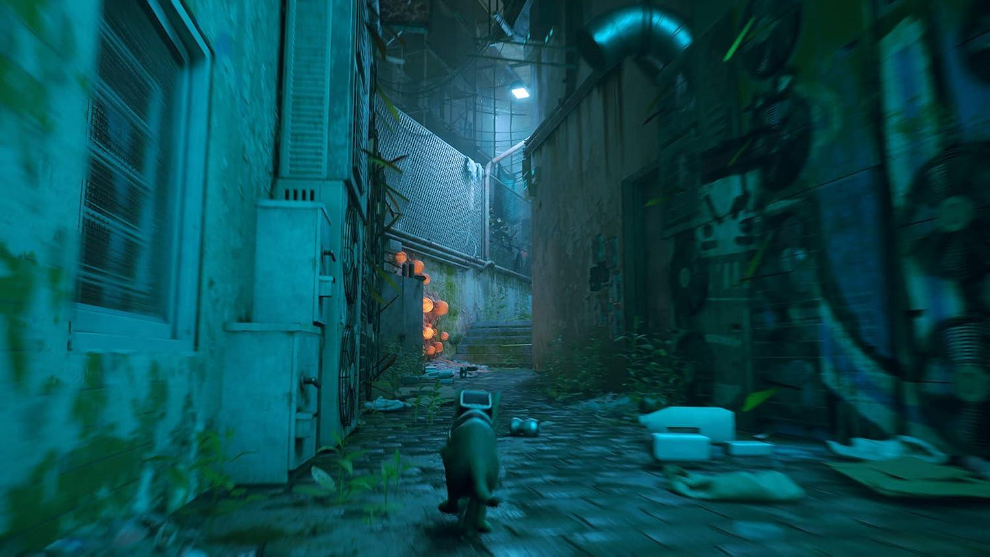 Stray PS4 Juego Físico