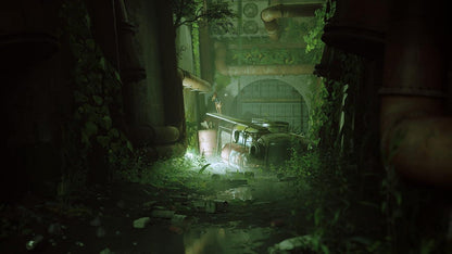 Stray PS4 Juego Físico