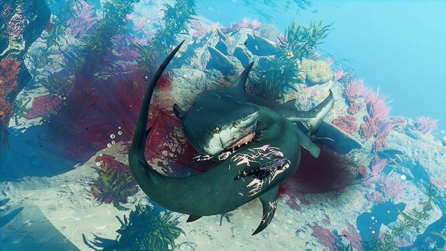 jpg_1500x1500_56890880