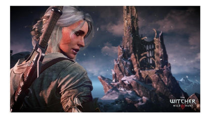 The Witcher 3 Wild Hunt Complete Edition Nintendo Switch Físico