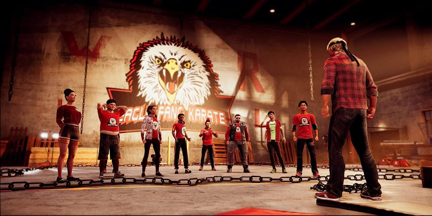 Cobra Kai 2 Dojos Rising Ps5 Juego Físico