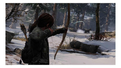The Last Of Us Remastered Español PS4 Físico